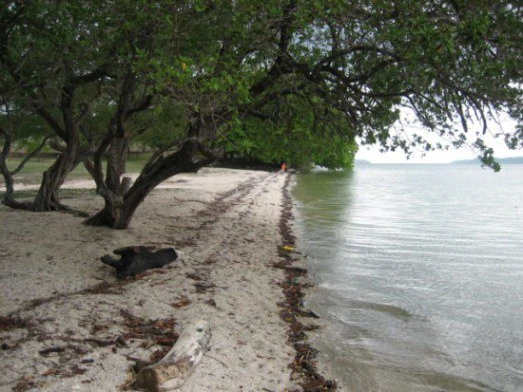 Beach investment opportunity for development land and hotel, Naranjo, Puntarenas: Beach investment opportunity for development land and hotel, Naranjo, Puntarenas - Gallery image 3