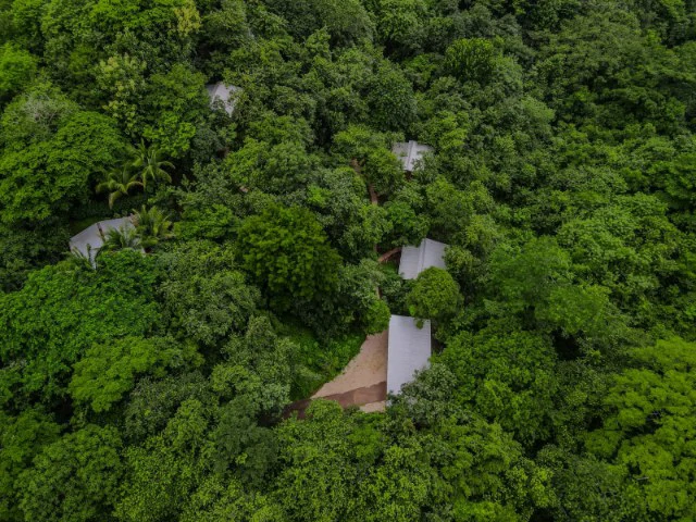 Nosara's Brand New Top Villas as a Business Opportunity in the dense forest of catchment area, 7 villas for sale in Costa Rica's Healthy Blue Zone - Gallery image 34