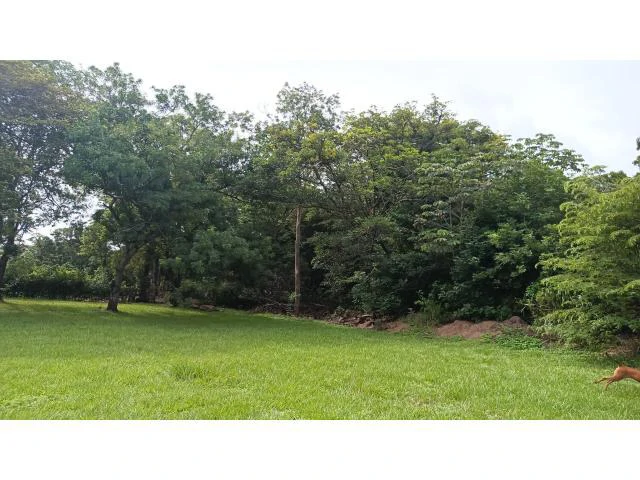 Charming Tico Home with Beautiful Green Garden for Sale in Bagaces - Gallery image 14