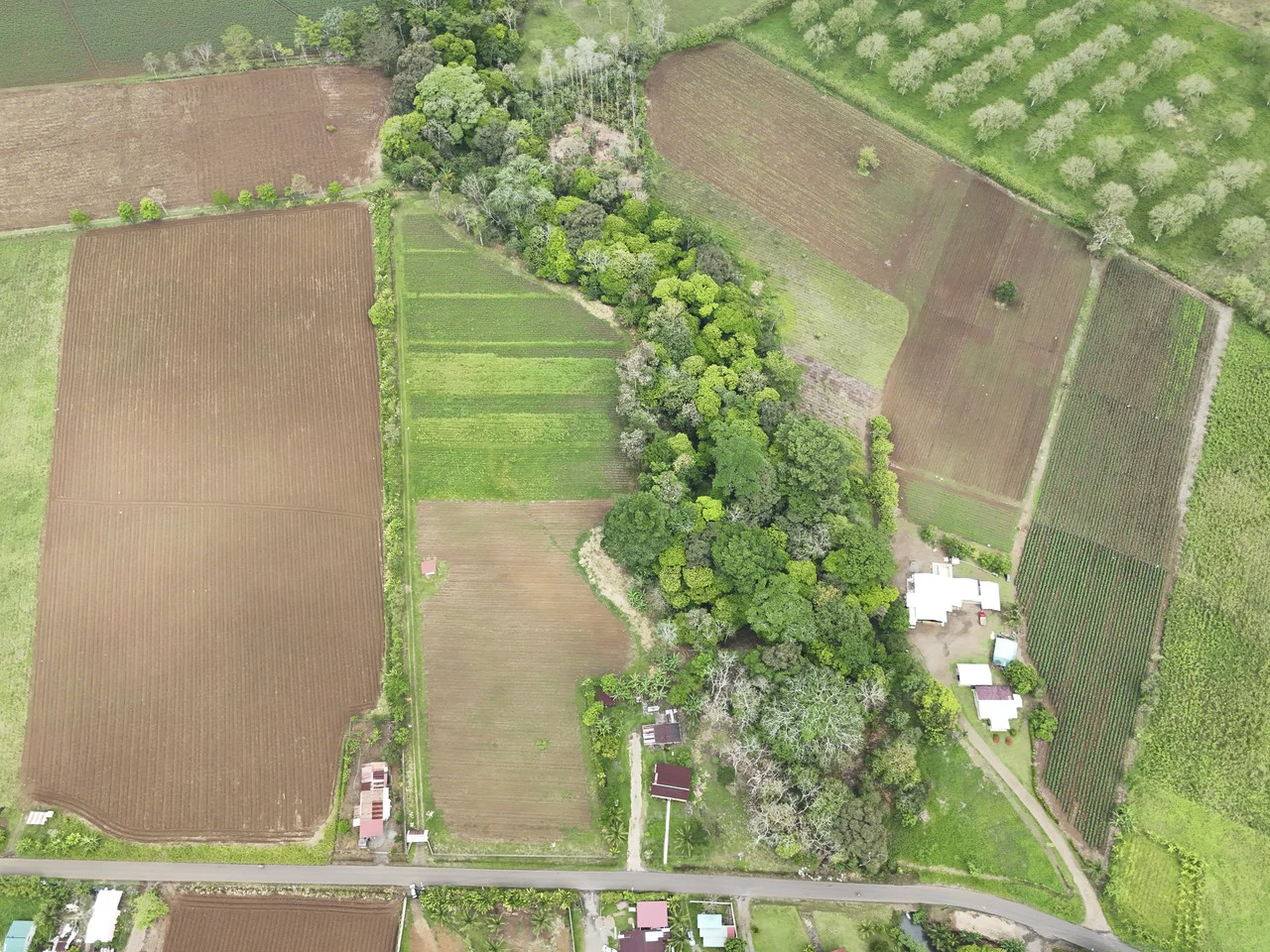 $8 Dollars per meter: Countryside Development Parcel For Sale in Los Angeles - Gallery image 8