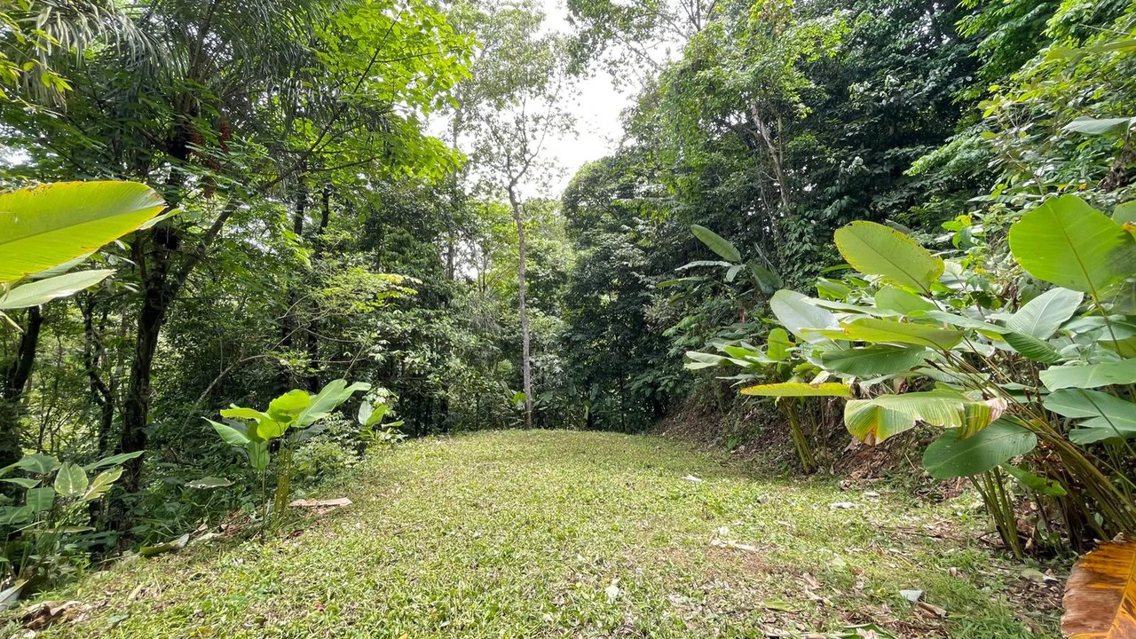 Eduardo Lee 17 Acres: Mountain Agricultural Land For Sale in Bejuco - Gallery image 12