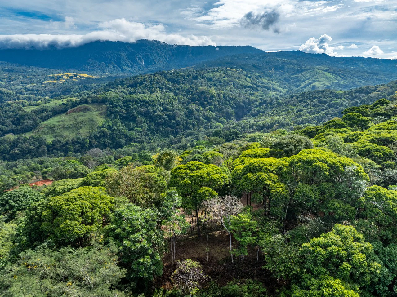 2.9 Acre Paradise with Diamante Valley Views Dominical - Gallery image 26
