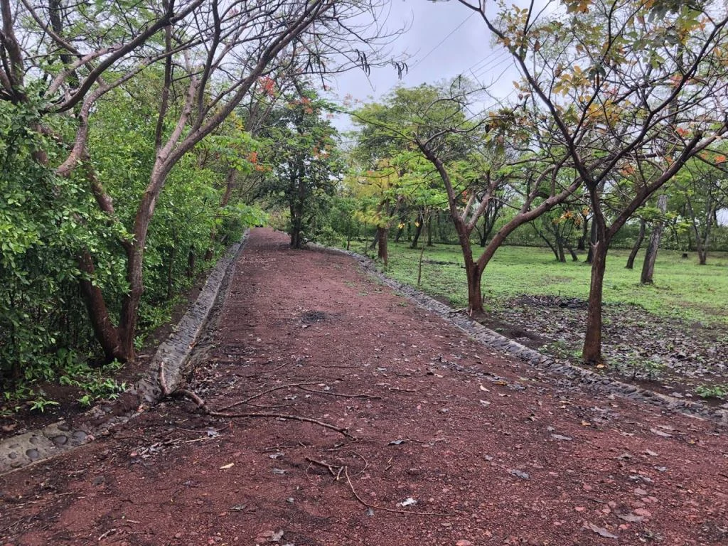 Lot in exclusive Residential, close to Beach Tamarindo - Gallery image 6