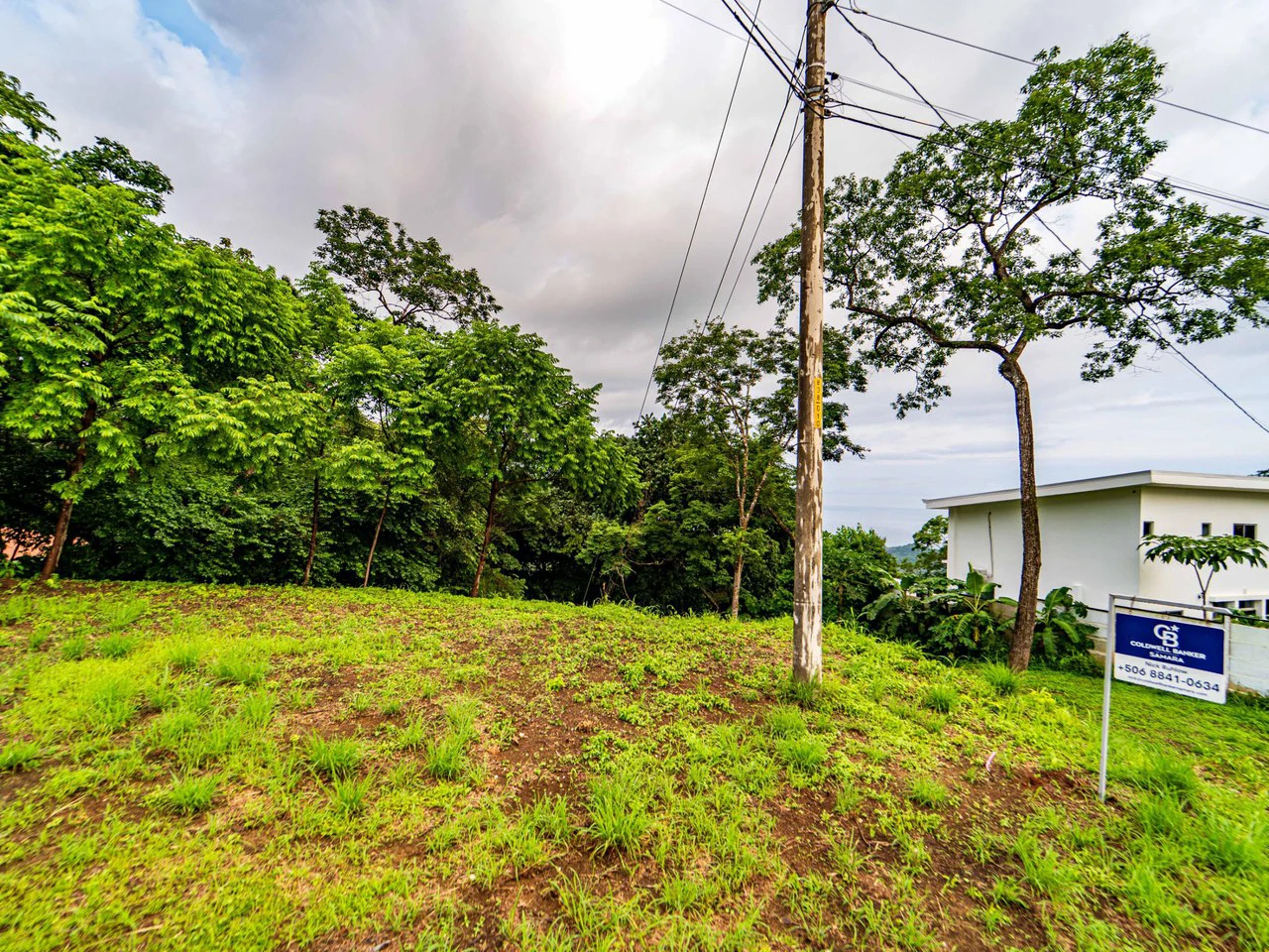 Carrillo Ridge Lot -: Partial Sunrise Ocean View lot - Gallery image 7