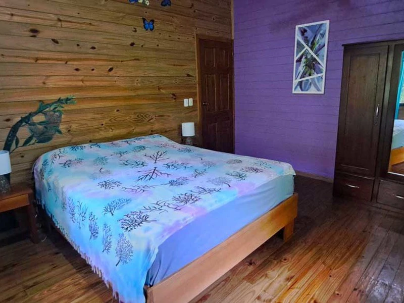 8 Cabinas with Swimming Pool on Lush Jungle Property in Uvita - Gallery image 11