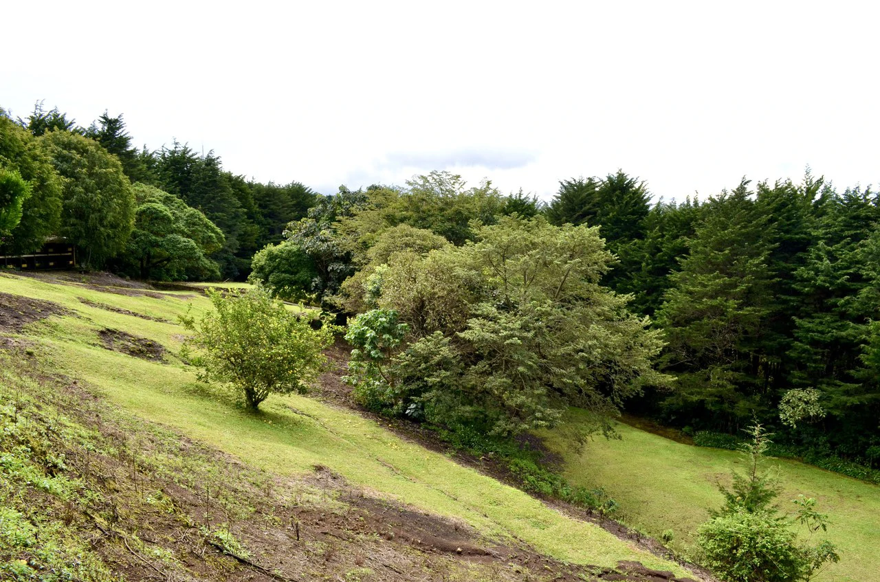 Farm for sale in Santa Barbara de Heredia - Gallery image 28