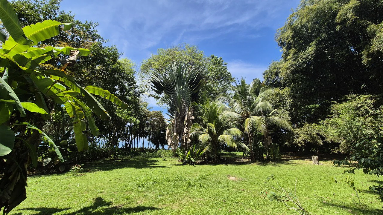 Dream Beachfront Property at Ballena Beach in Uvita, Costa Rica - Gallery image 8