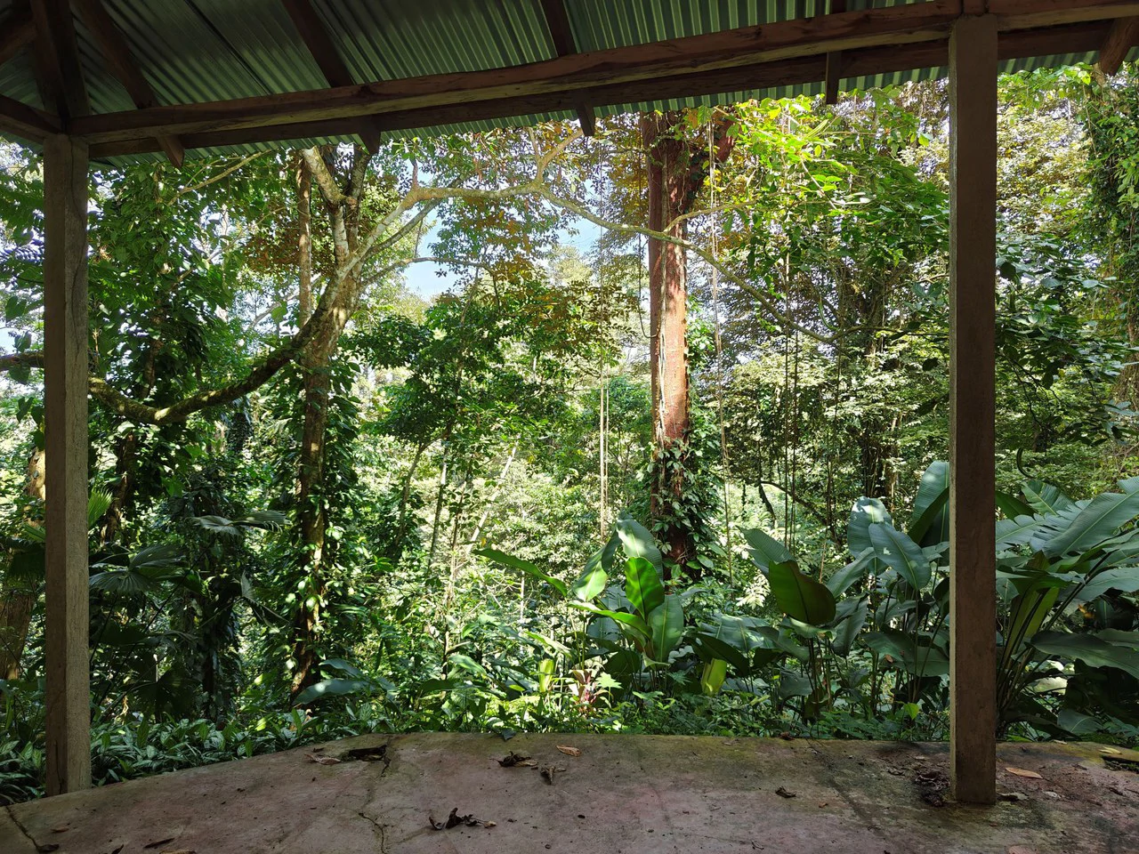 61,618m² of Land near Cahuita: With Existing Infrastructure and Ocean View - Gallery image 10