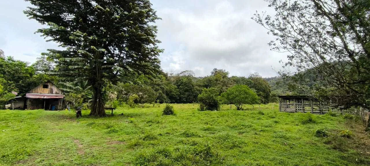 23 Acres of Paradise at Bahia Drake - Gallery image 25
