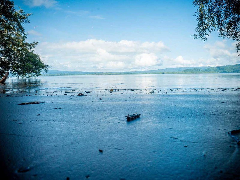 Bahía Chal Gulf View Close to Puerto Jimenez - Gallery image 19