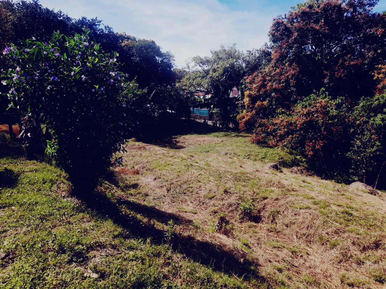 Development Land for Sale in La Garita, Alajuela | 37,000 m² | Commercial & Tourism Zoning - Gallery image 6