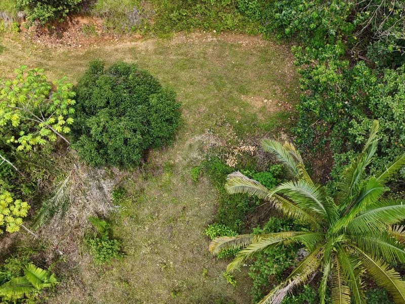 Gorgeous Ocean View Acreage in San Buenas - Gallery image 3