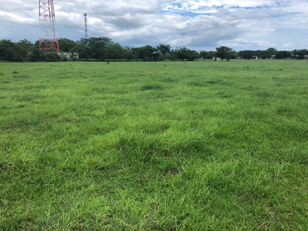 Commercial property in front of Interamerican Highway - Bagaces