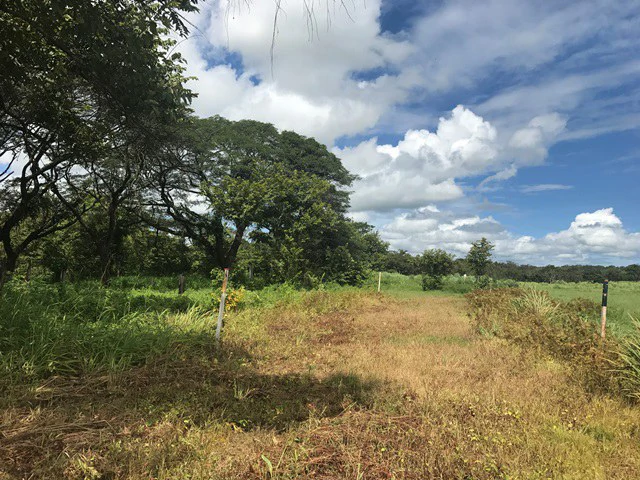Large Development Land for Sale in Liberia, Guanacaste, Costa Rica - Gallery image 12