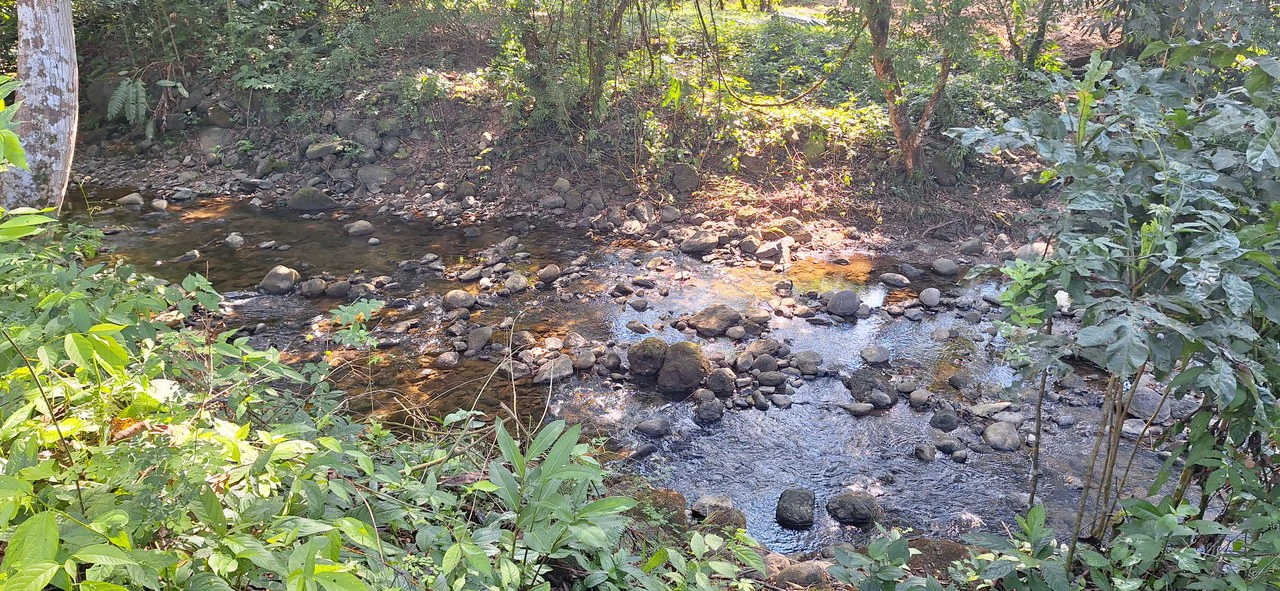 Exceptional Development Opportunity 71 acre Riverfront & Ocean View in Hatillo - Gallery image 30