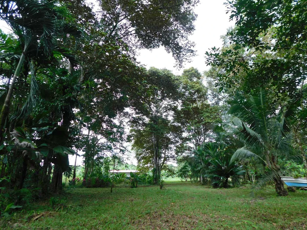 Green Centrally Located Paradise - Gallery image 9