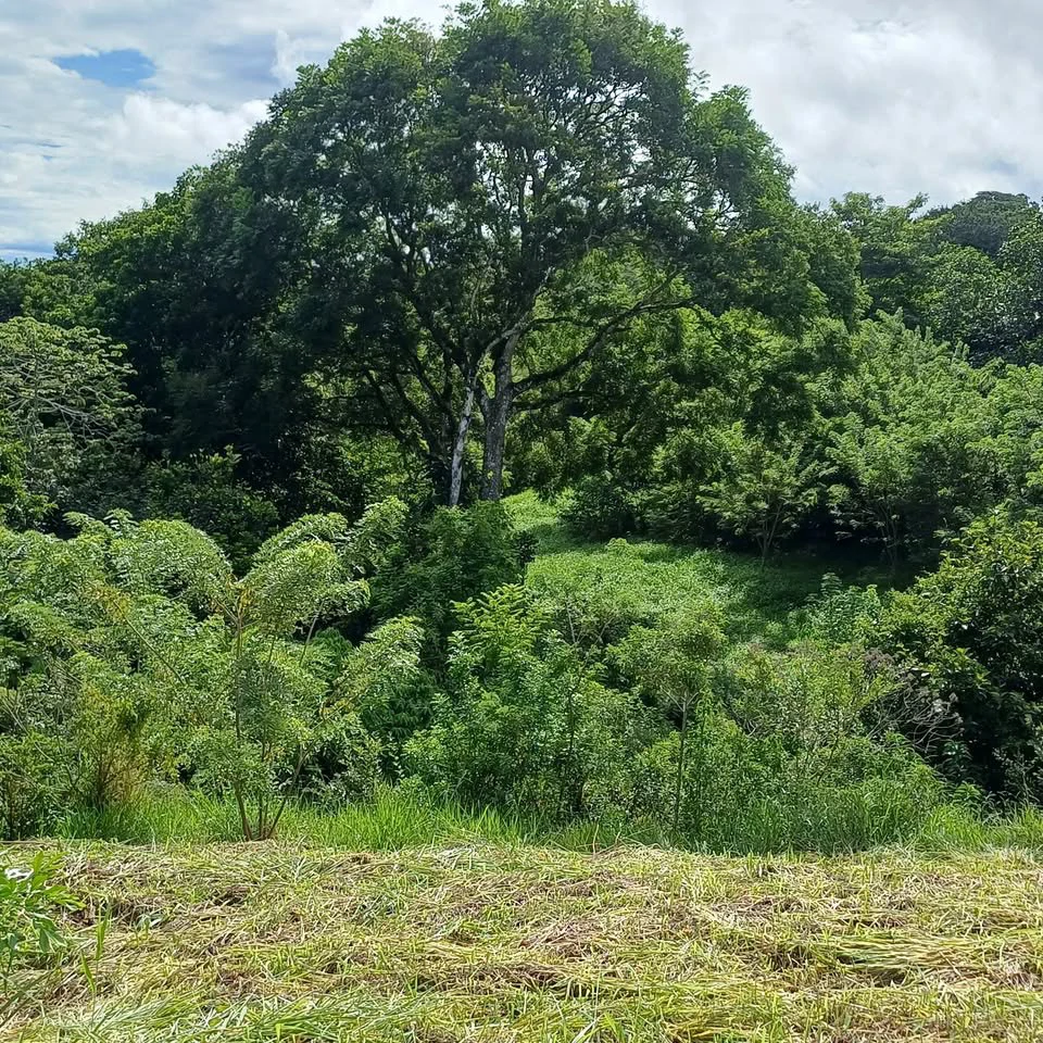BAY VIEW PARADISE: Large Building Lot, Lake Arenal View - Gallery image 6