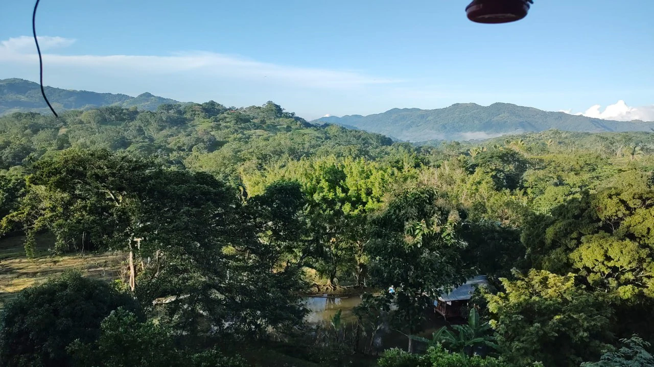 Agricultural Farm for Sale in the mountains of Hojancha, Beautiful 25-acre property with floating lake Apartment and Huge main home - Gallery image 9