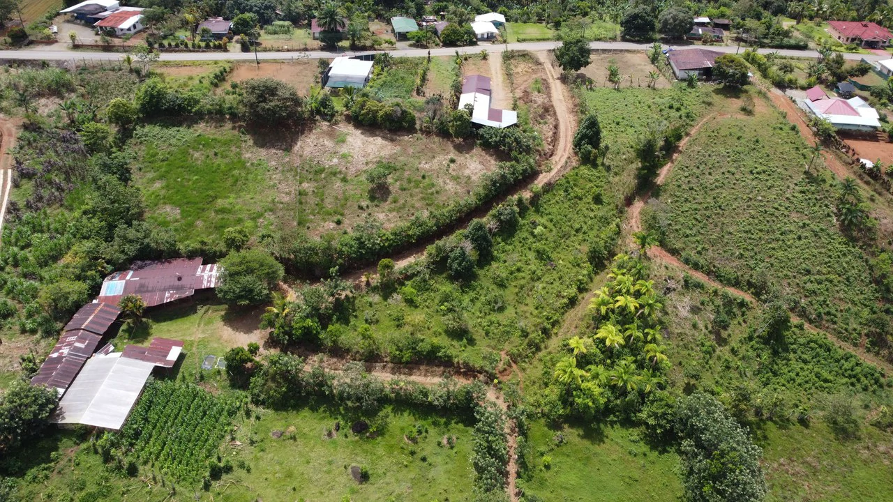 Se vende lote agrícola, en Cajón, Perez Zeledon.: Mountain Home Construction Site For Sale in Cajón - Gallery image 24