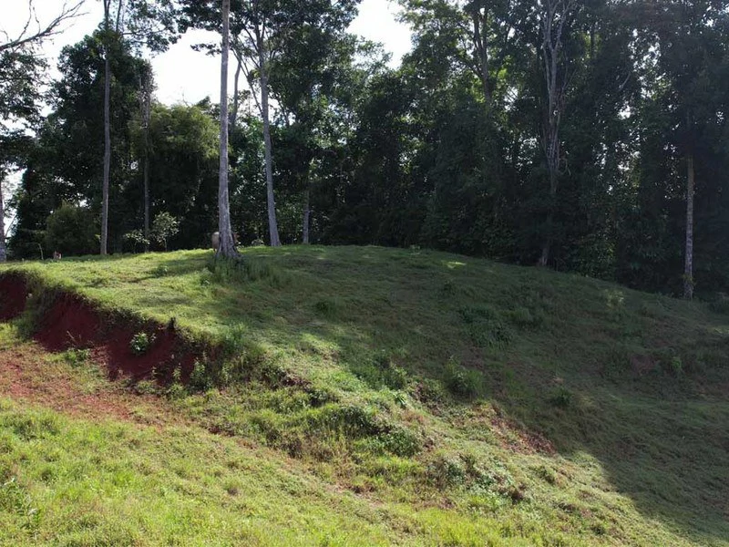 69.16 Acres Property | Mountain & Top Ocean View with Small Home - Gallery image 15