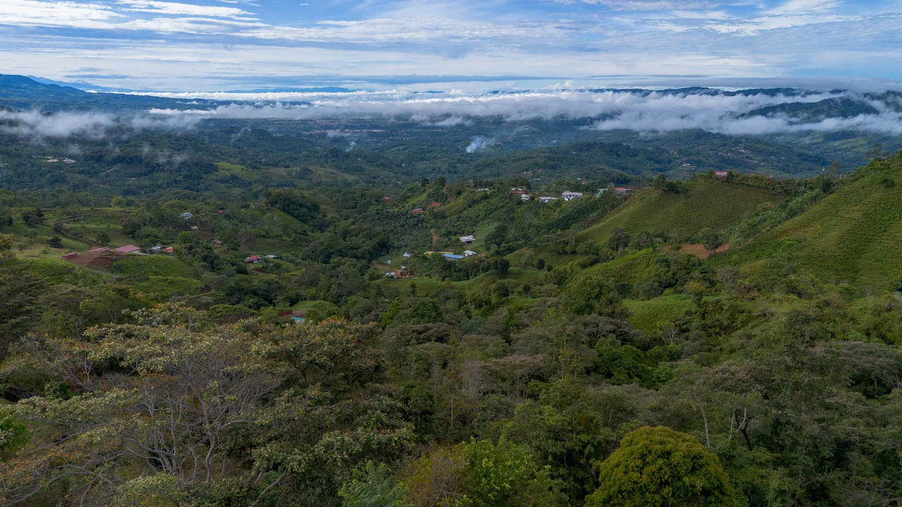 10.21 Acres with Views & Plantels – Pérez Zeledón - Gallery image 5