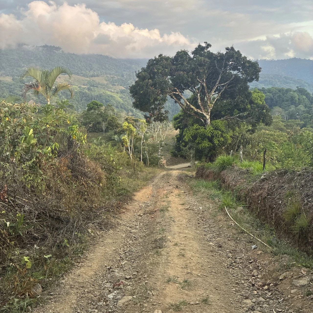 Ocean & Mountain View Lot with Multiple Building Sites-20 Minutes from Uvita - Gallery image 10