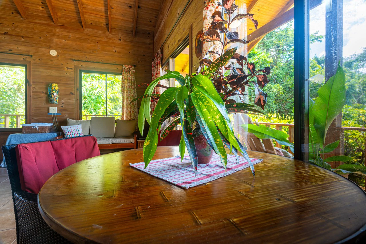 VILLA KRISTINA MARIA - 3.84 ACRES - PERLA DE BALLENA ESTATES: Mountain House For Sale in Bahía Ballena - Gallery image 70