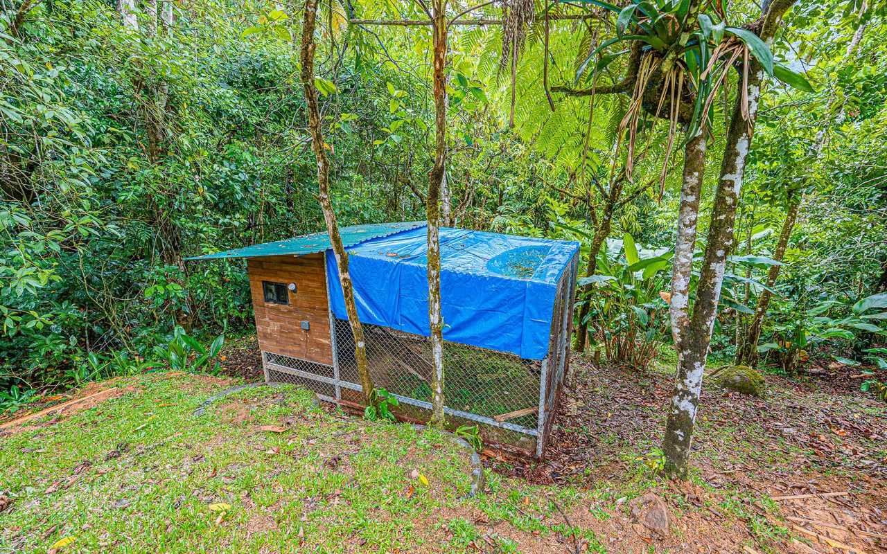 Off Grid Luxury Estate Micro Regenerative Homestead Tinamastes - Gallery image 70