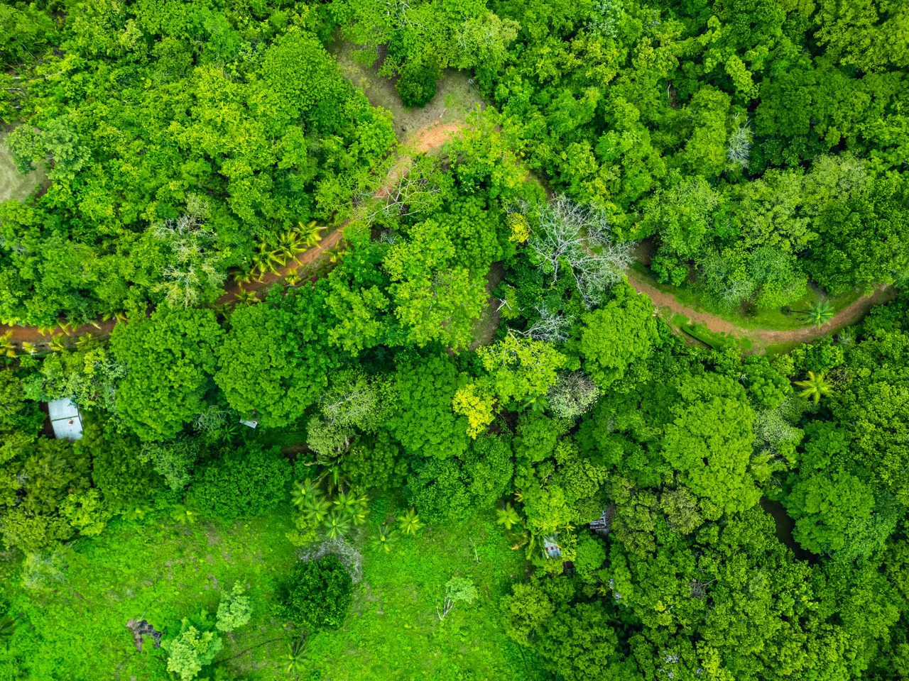 The Refuge: Ecological Lots in Hojancha Blue Zone - photo 17