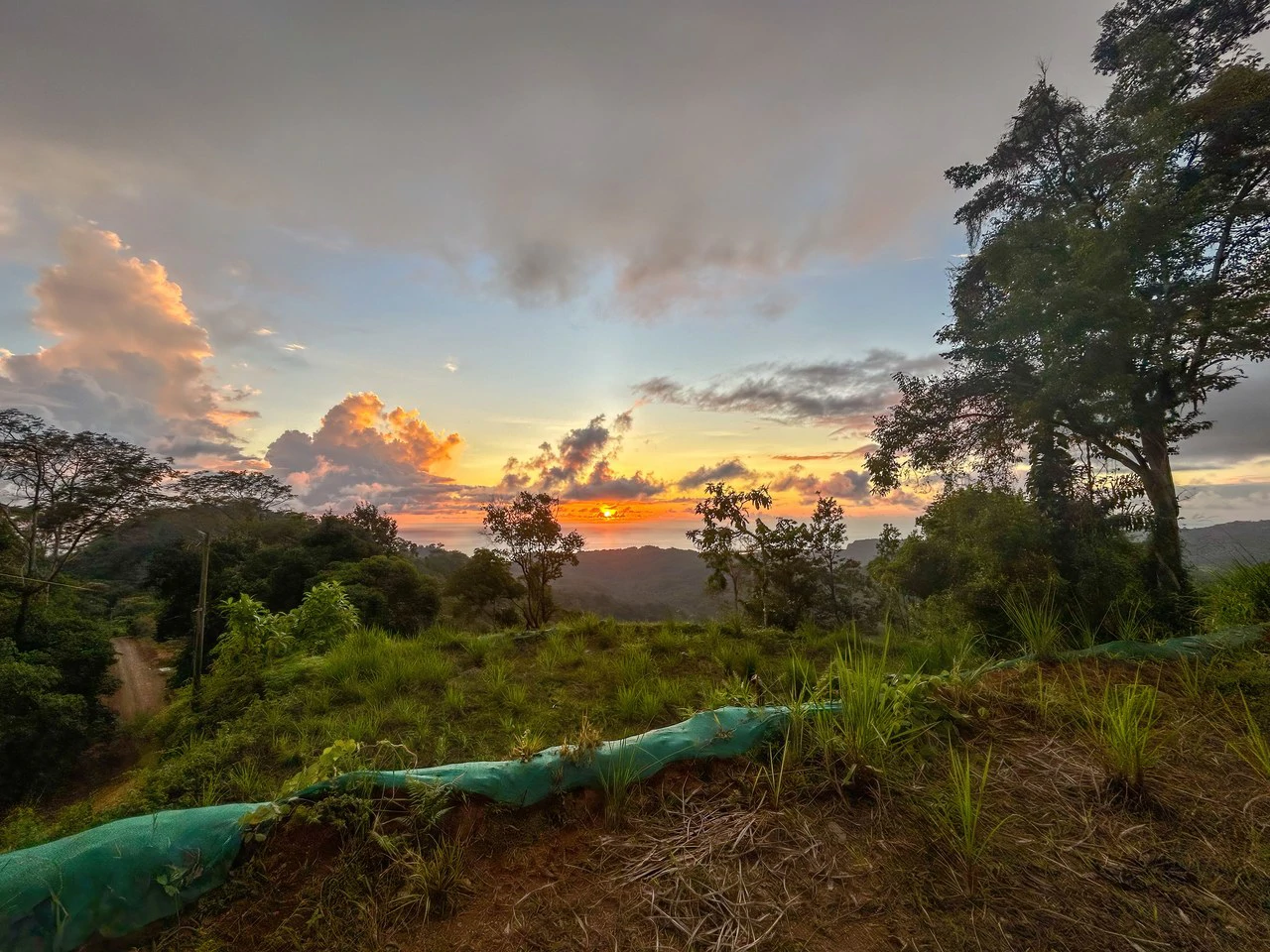 Year-Round Sunset Views | 3 Connected Build-Ready Lots - Gallery image 6