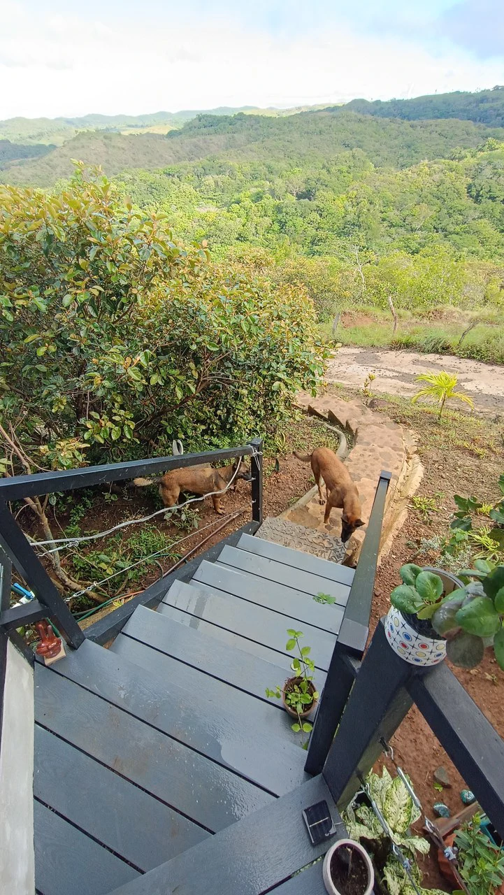 Hill top house with amazing sunset views GB0125: Peaceful Retreat with developing Potential: Property with 2 Homes and Panoramic Views in Guayabo de Bagaces - Gallery image 9