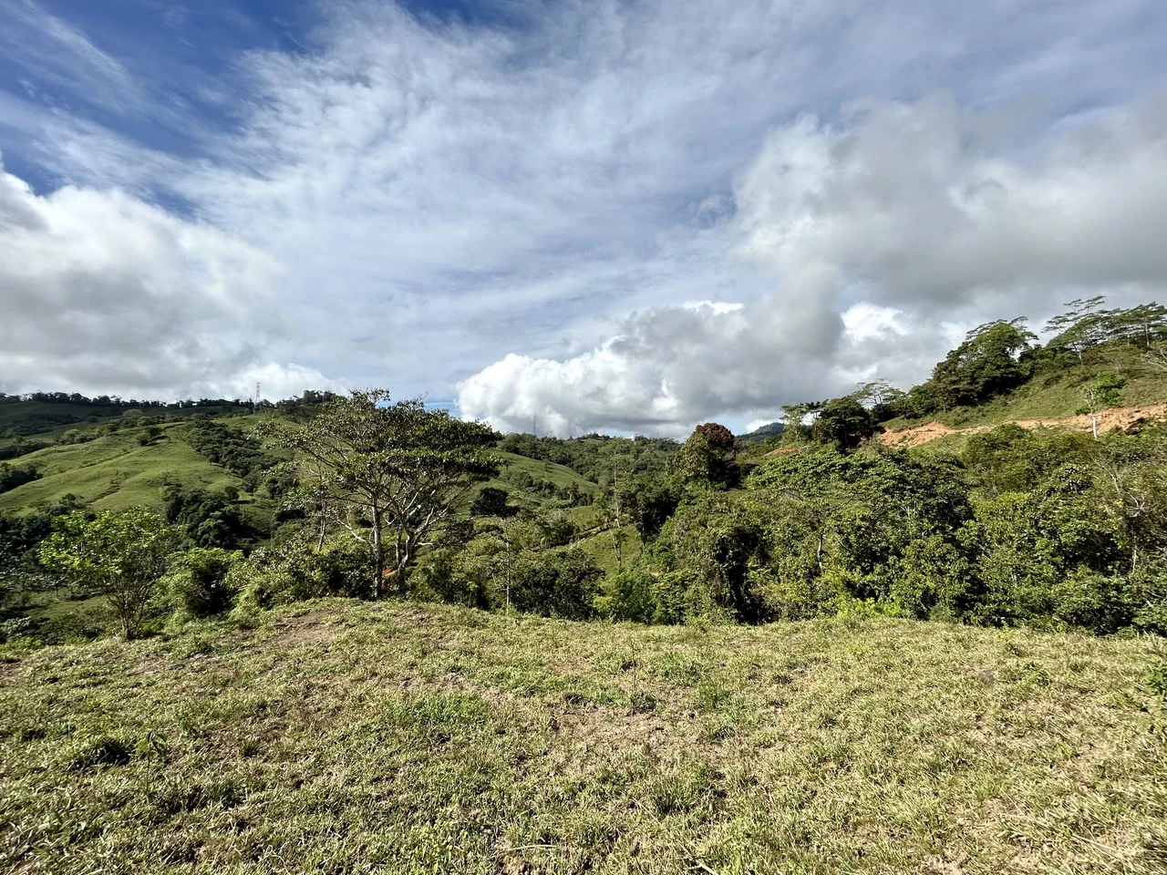 Finca Ceibo Memo: Mountain Home Construction Site For Sale in San Isidro del General - Gallery image 34