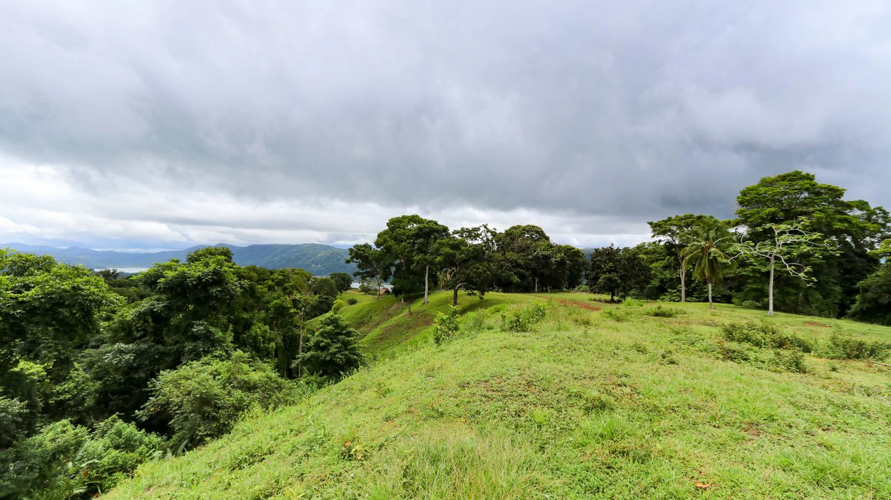 Unique Development Property Overlooking the Pristine Golfito Bay and Golfo Dulce - Gallery image 34