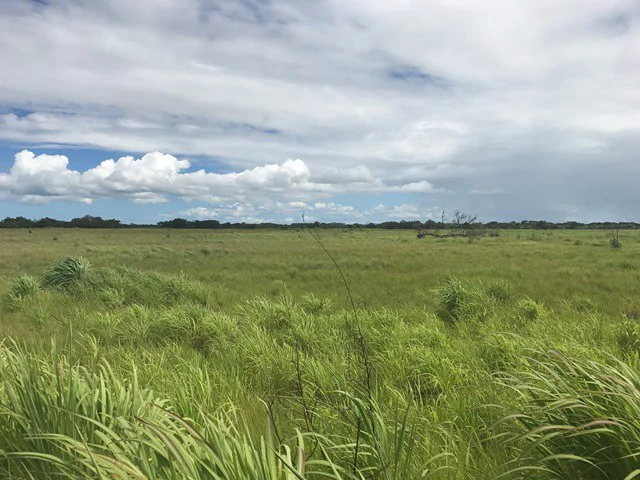 Large Development Land for Sale in Liberia, Guanacaste, Costa Rica - Gallery image 35