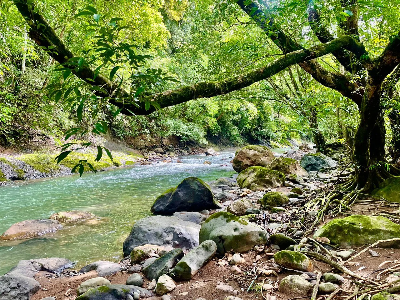 Property for Sale for Tourism Development with River in Orotina Alajuela Costa Rica