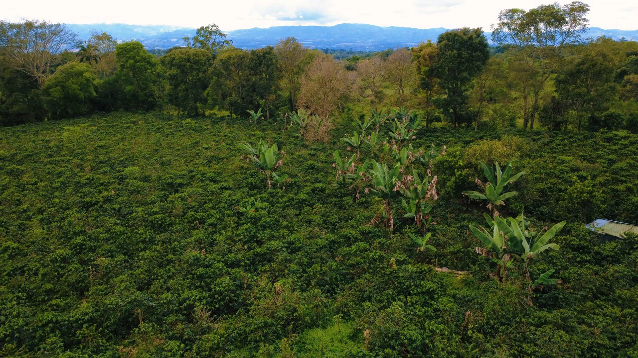 Countryside Home Construction Site For Sale in Santa Elena de San Isidro - Gallery image 8