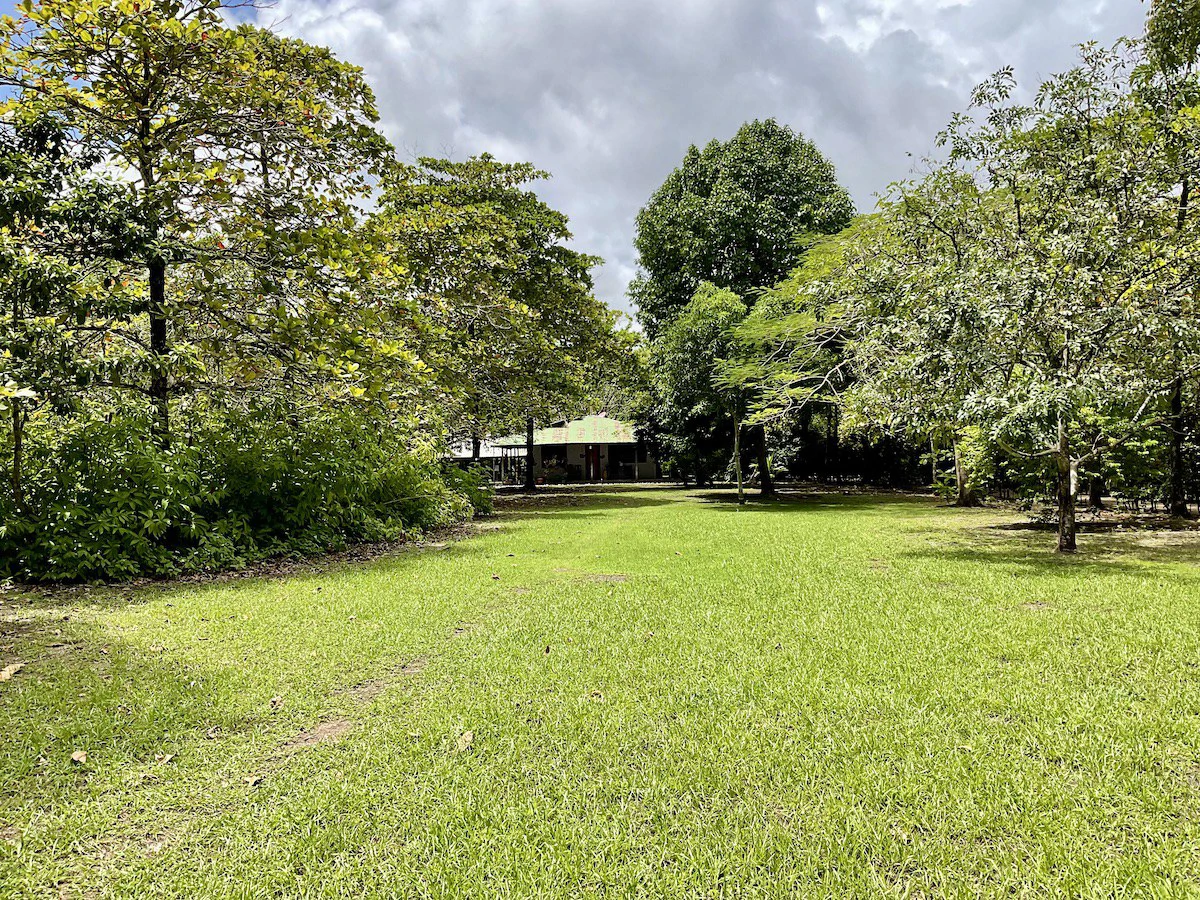 Punta Soñada: Point Break Beachfront Property Osa Peninsula - Gallery image 25