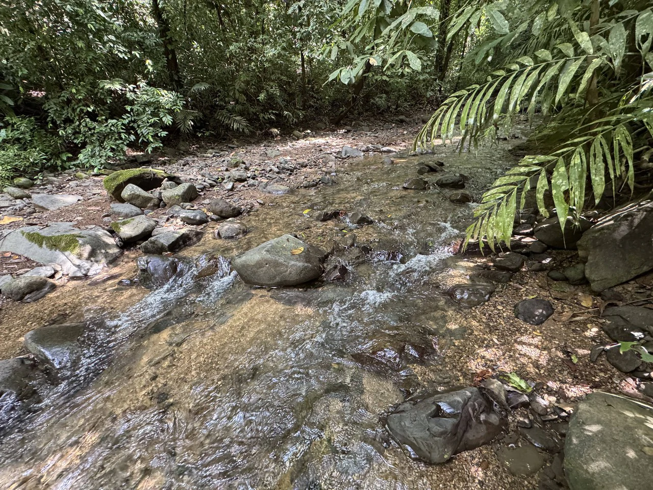 23.5 Acre Waterfall & Riverfront Estate Bahia Ballena Osa Peninsula - Gallery image 12