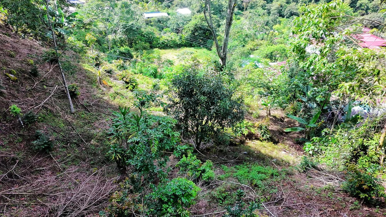 Lote en Chimirol, Costa Rica: Mountain Home Construction Site For Sale in San Isidro del General - Gallery image 4