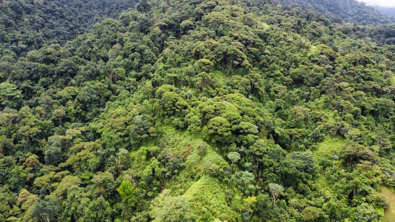 Se vende 39ha en Barú, Perez Zeledón: Mountain Home Construction Site For Sale in Barú - Gallery image 11