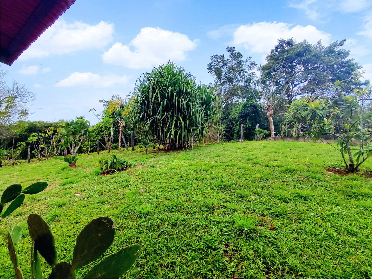Quinta en San Mateo, Orotina: Country house for sale in San Mateo, Orotina, Alajuela - Gallery image 14
