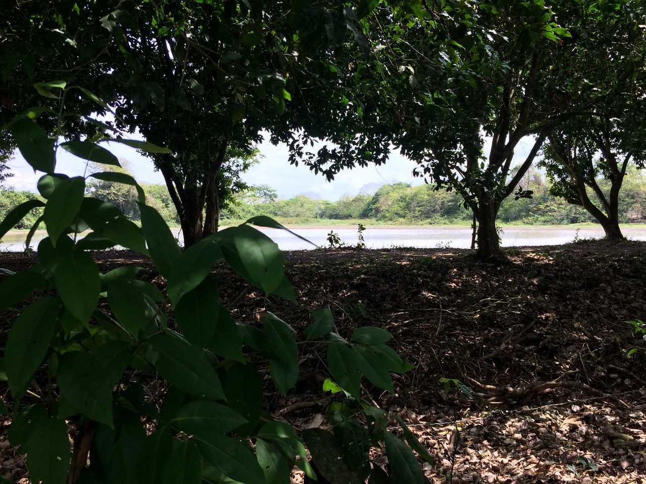 Propiedad grande: Countryside Home Construction Site For Sale in Caño Negro - Gallery image 9