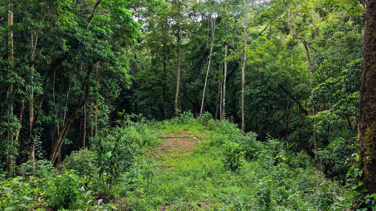 Home Construction Site For Sale in San Isidro del General - Gallery image 9