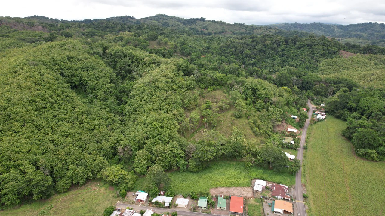 Finca Linda vista: Property for sale with flat land and small mountain with terrace to build and incredible views - Gallery image 6