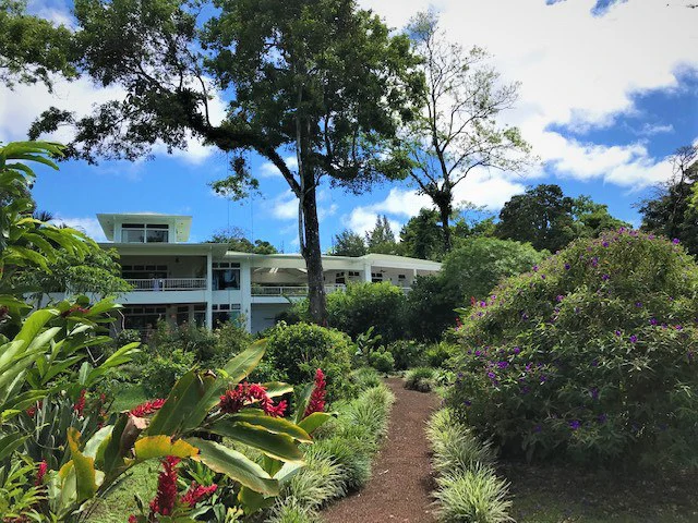 Villa Corazon: Unique LAKE FRONT property, 2 Villas and Tiny house on 5 acres with lake access. - Gallery image 57