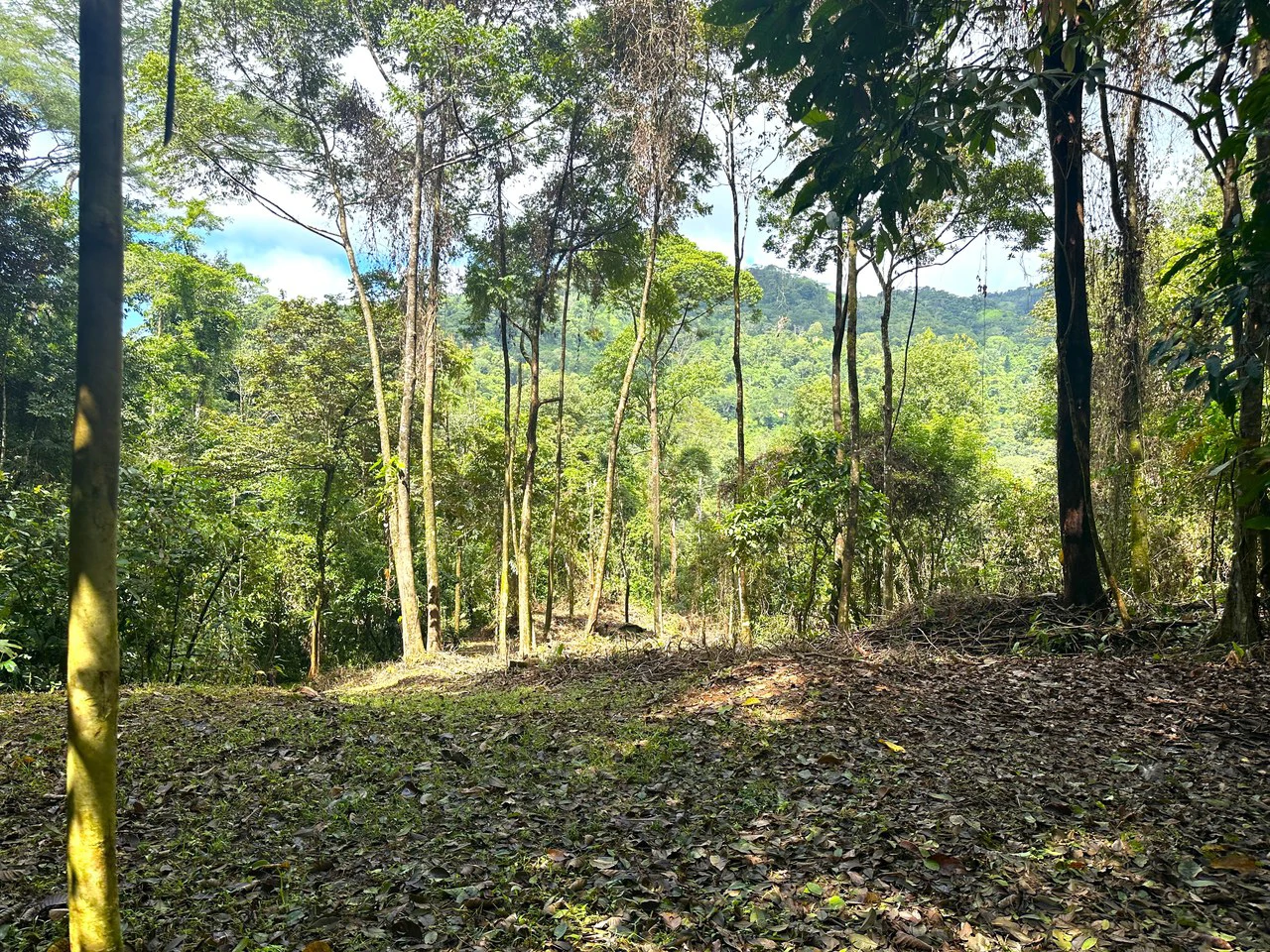 Mountain View Building Lot in Prestigious Gated Community With Private Waterfall & Two Building Sites: Mountain Home Construction Site For Sale in Portalon - Gallery image 15
