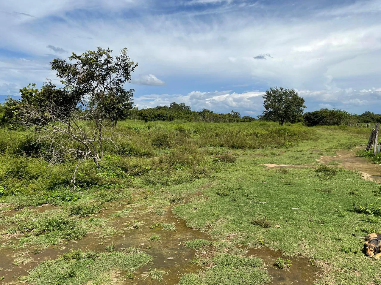 Airport Liberia Top commercial location huge property for sale - Gallery image 17