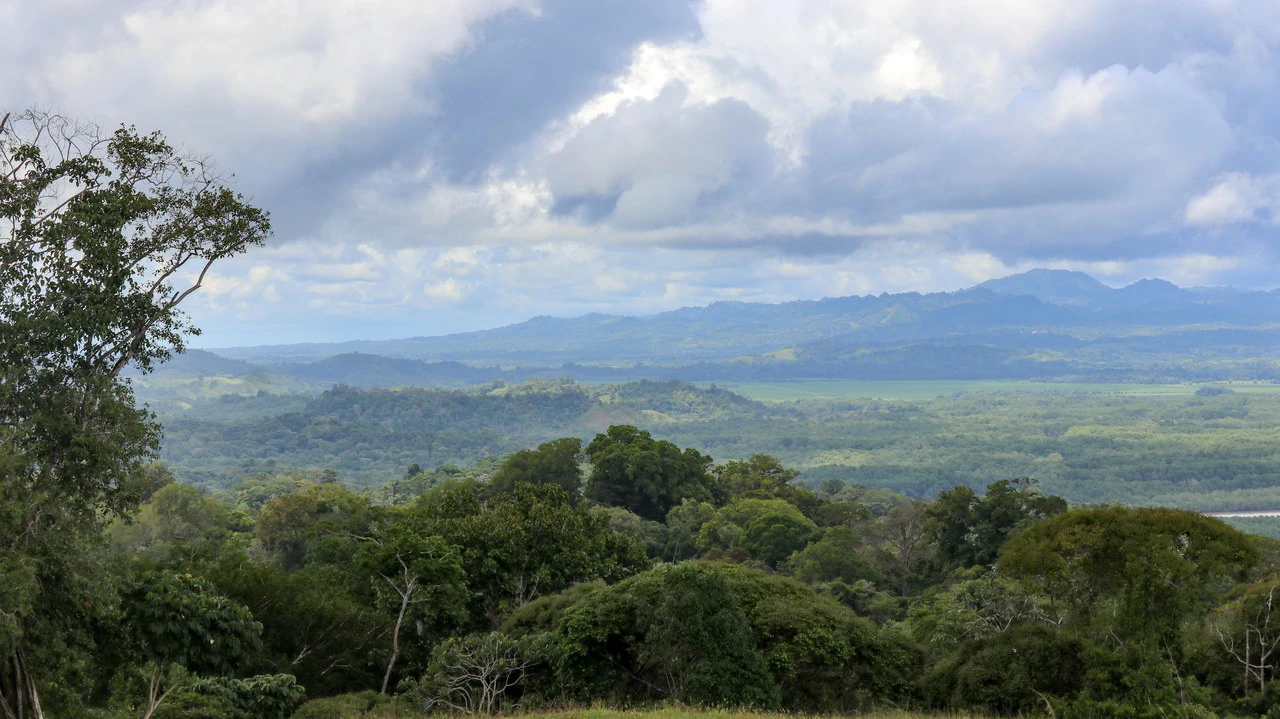 Unique Development Property Overlooking the Pristine Golfito Bay and Golfo Dulce - Gallery image 17