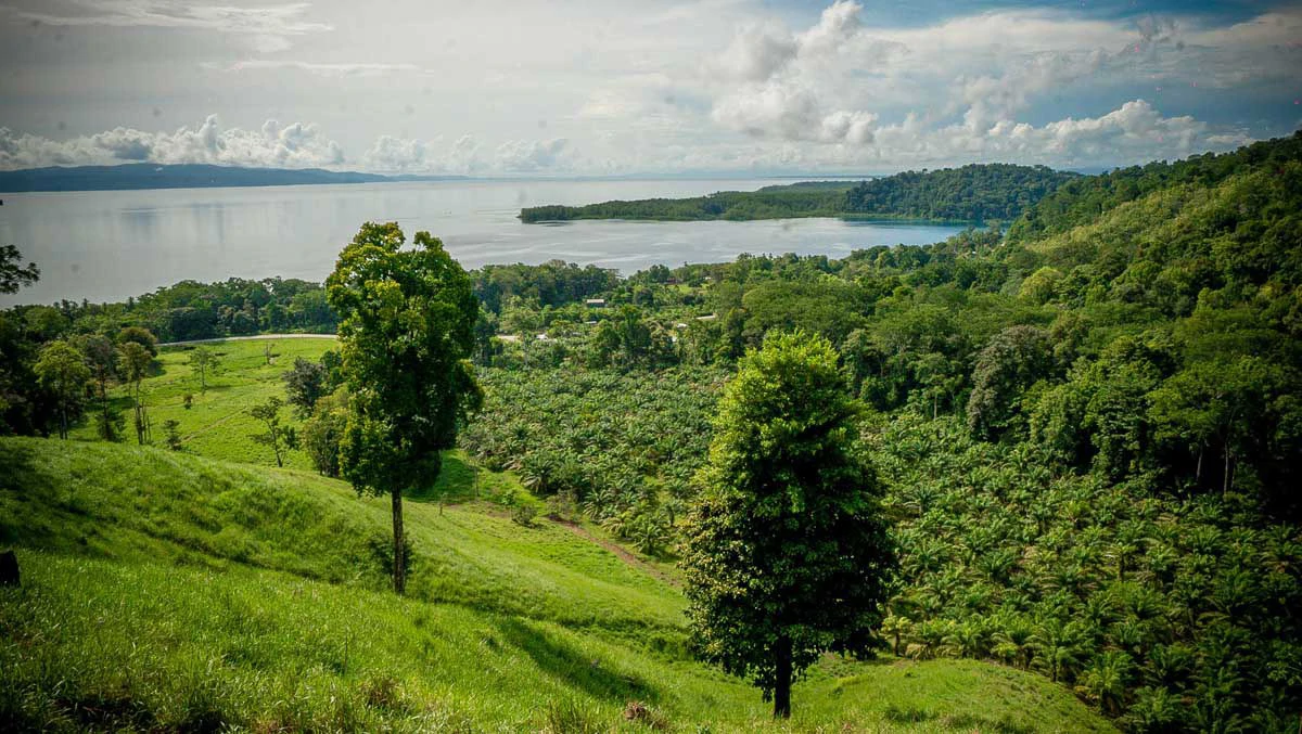 Rincon Massive Acreage and Gulf of Dulce Views - Gallery image 9