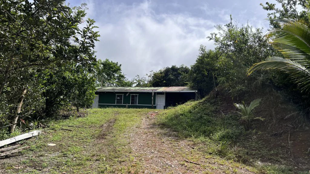 Mountain and Countryside Agricultural Land For Sale in Platanares - photo 8